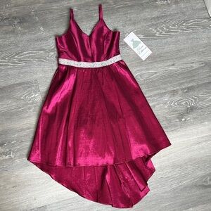 Rare Editions Fuchsia Formal Kids Dress